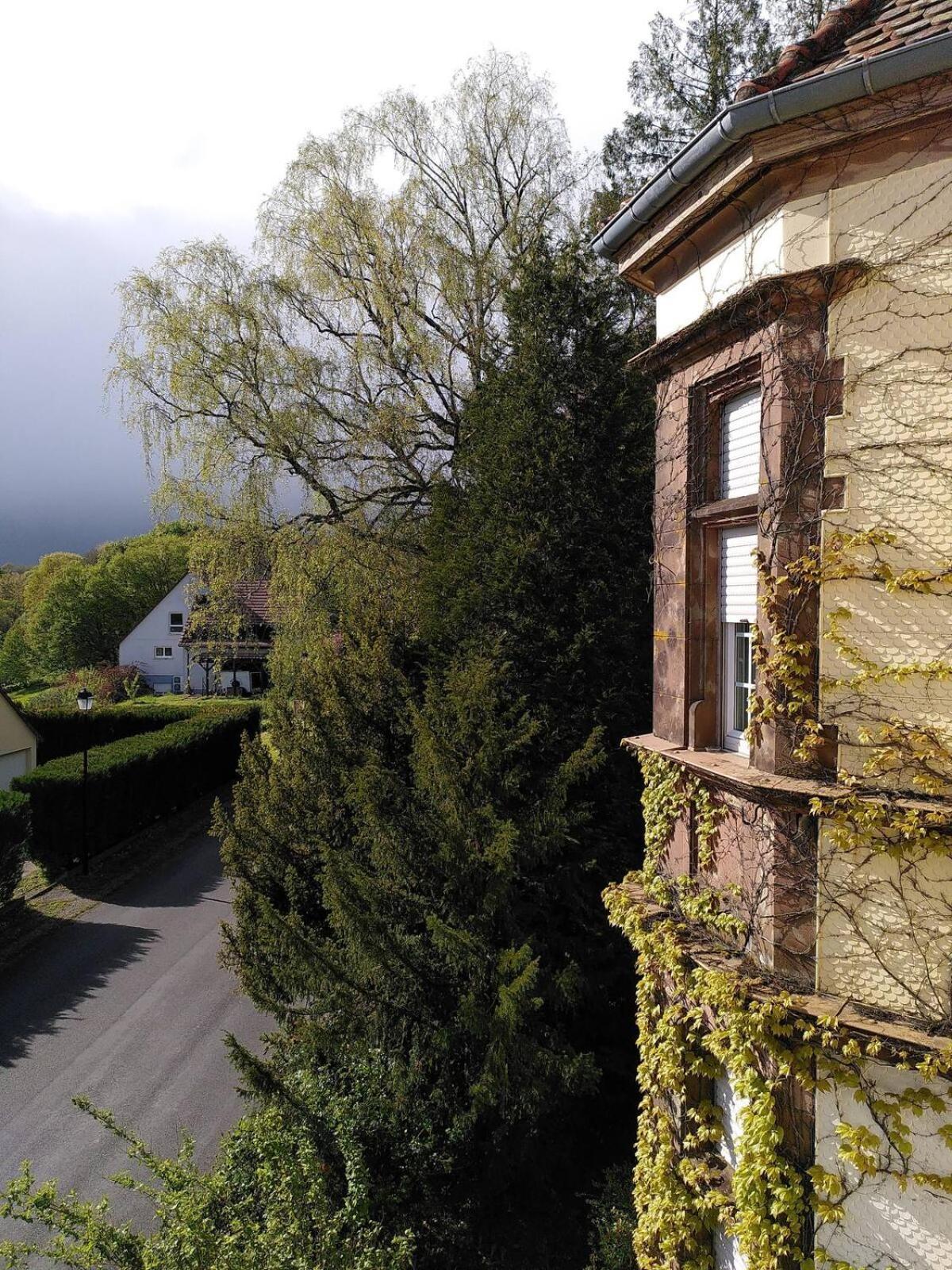 Chez Jeanne A La Villa Gruber La Petite-Pierre Buitenkant foto